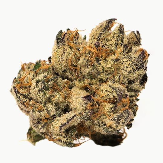 ROBINSONS Cannabis - Purple Kush - 1