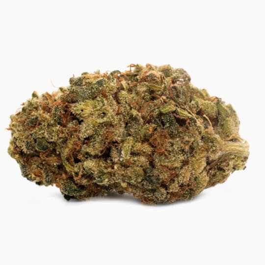 Reef Organic - High Seas - 1