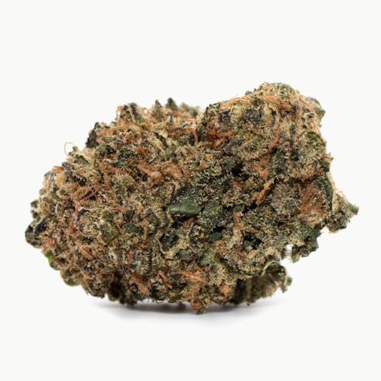 Reef Organic - Ebb & Flow - 1