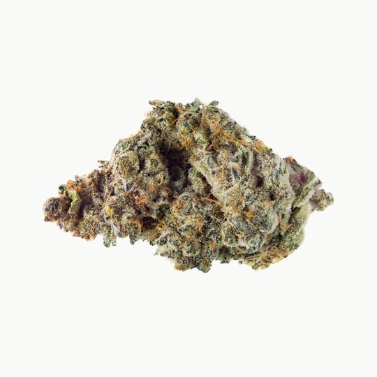 Qwest Cannabis - Point Break - 1