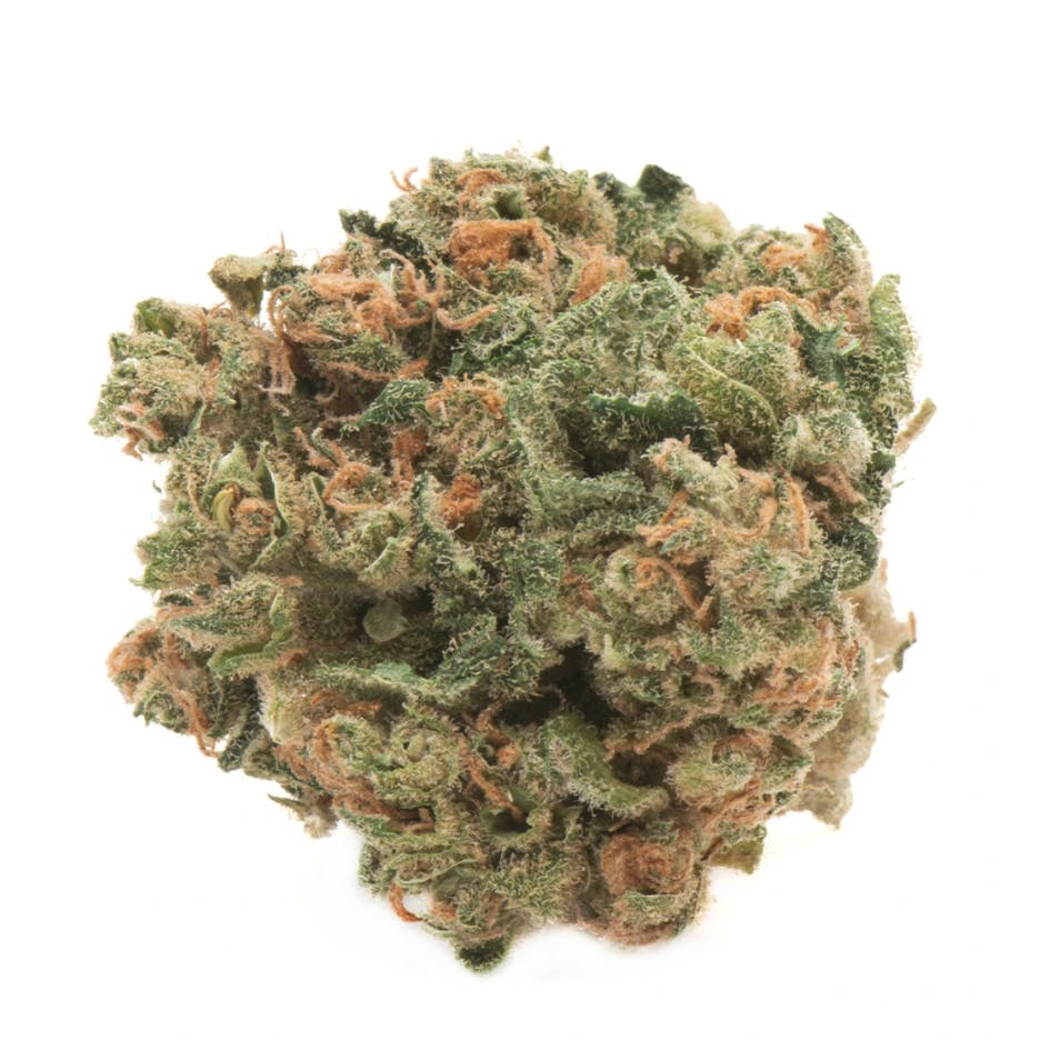 Namaste - Citrique - 1