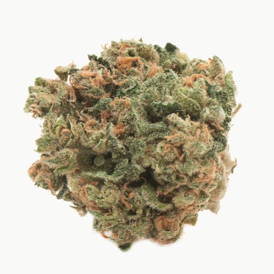 Namaste - Citrique - 1
