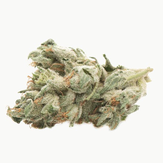Namaste - D Bubba - 1