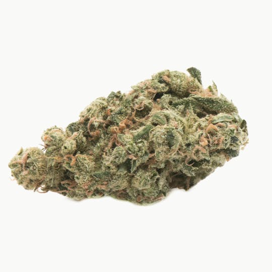Namaste - Ultra Sour - 1