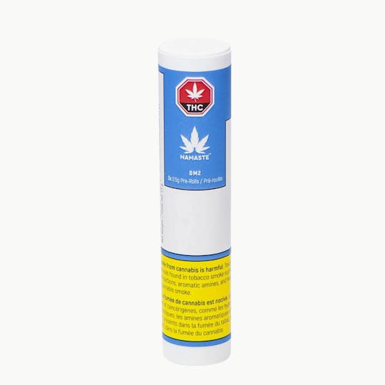 Namaste - Durga Mata Pre-Roll - 1