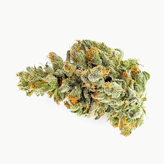 Msiku - Nova Glue - 1