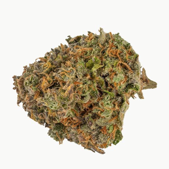 Muskoka Grown - Blue Gorilla - 1