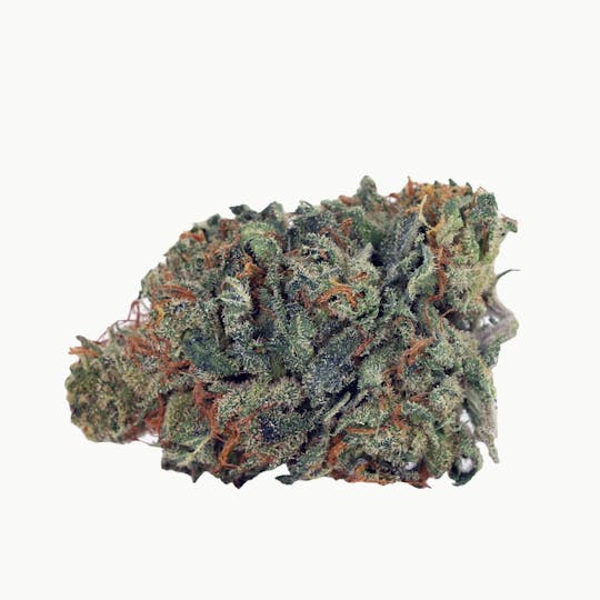 Kiwi Cannabis - Mango Haze - 1