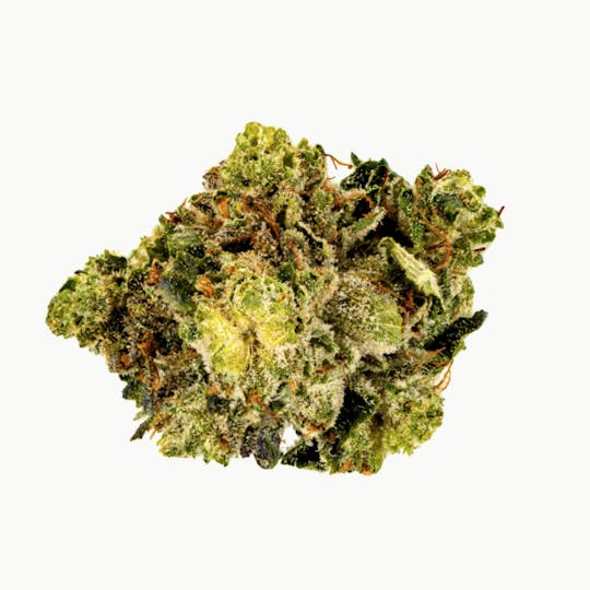 Grail - Rockstar - 1