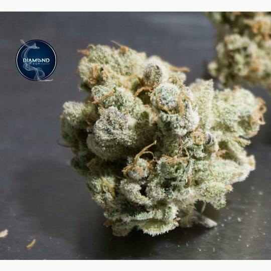 Diamond Cut Farms - Diamond Cut Farms- Juicy Banger - 1