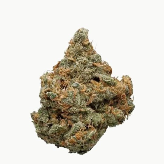 Golden State Canna - Blue Dream Indoor | 3.5g | THC 29% - 1