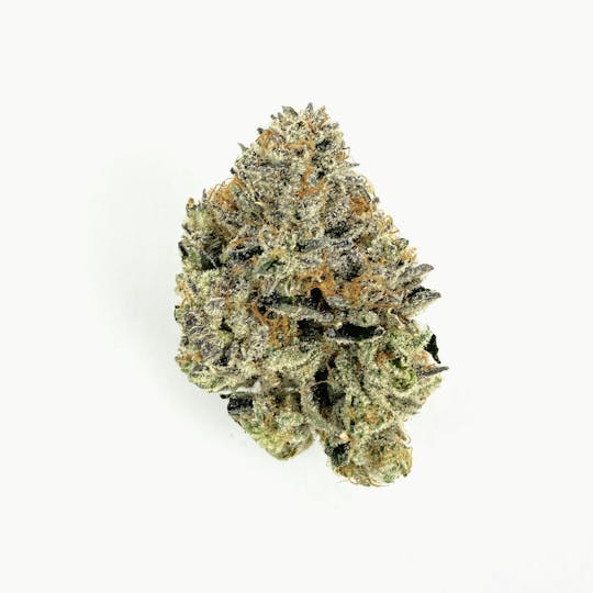 Indico - Topanga Canyon - 1