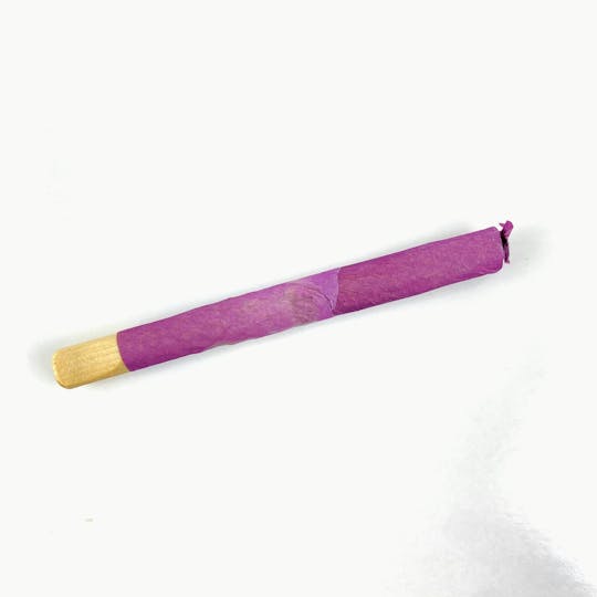 Indico - Purple Rose Cannagar - 1