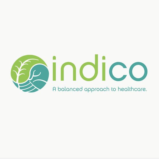 Indico - 1g Cartridge - Sour Trainwreck - 1