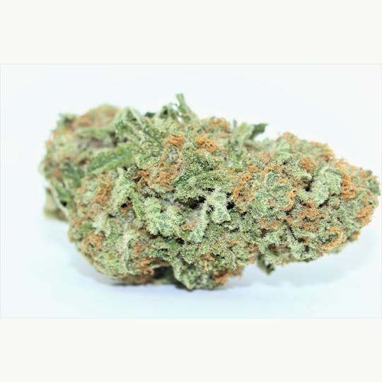 Elevation 207 - Northern Lights X Big Bud - 1