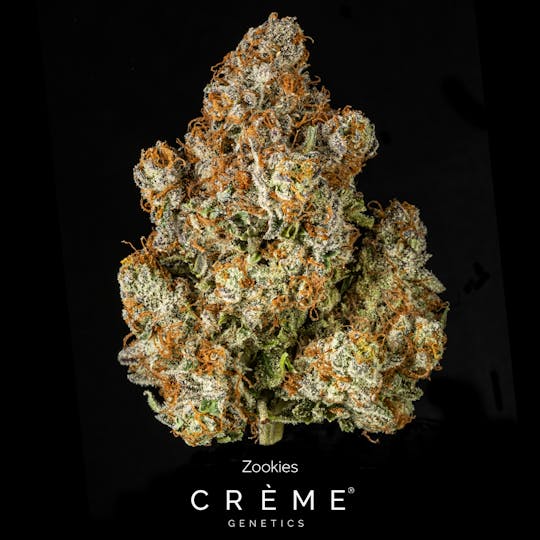 Crème Genetics - Zookies (26% THC Hybrid) - 1