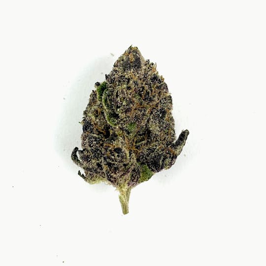Indico - Tropicana Cookies - 1