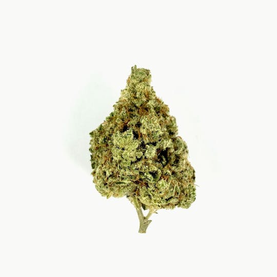 Indico - Grape Cake - 1