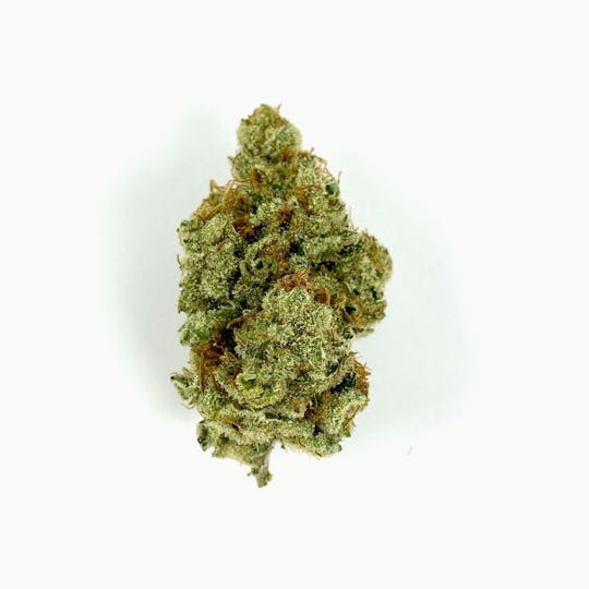 Indico - Black Widow - 1