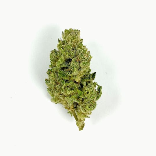 Indico - Banana OG - 1