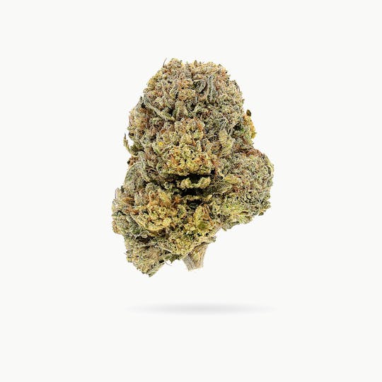 Trusty Transportations - Wedding Crasher (Sunrise Mountain) 8th/3.5 Grams (25% THC, Hybrid) - 1