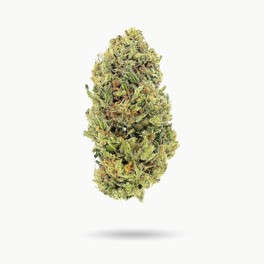 Trusty Transportations - Lemonade Punch Ounce/28 Grams (24% THC, Sativa) - 1