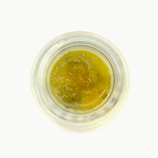Alien Labs - Beezle X Alien Labs - Sauce - Gelato 41 - 1