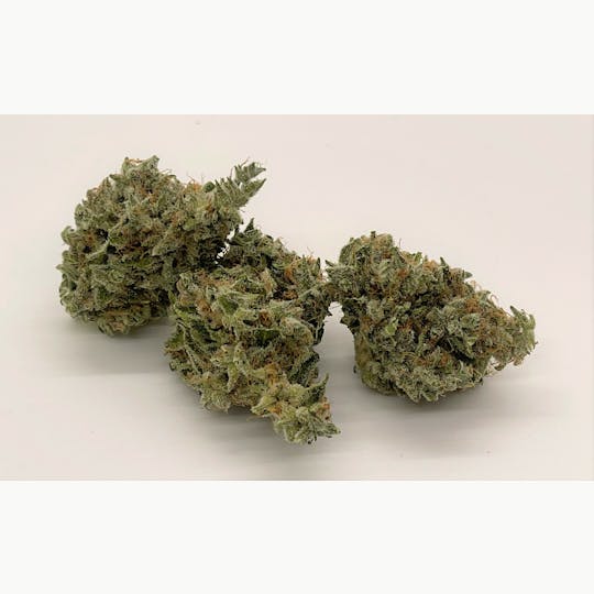 South Port Cannabis Company - PURPLE PUNCH - SOUTH PORT CANNABIS - 1