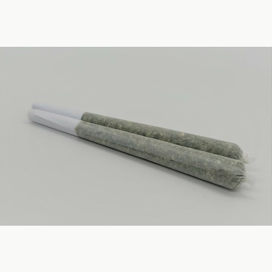 South Port Cannabis Company - TROPICANA BANANA PRE-ROLL 1 GRAM - SOUTH PORT CANNABIS - 1