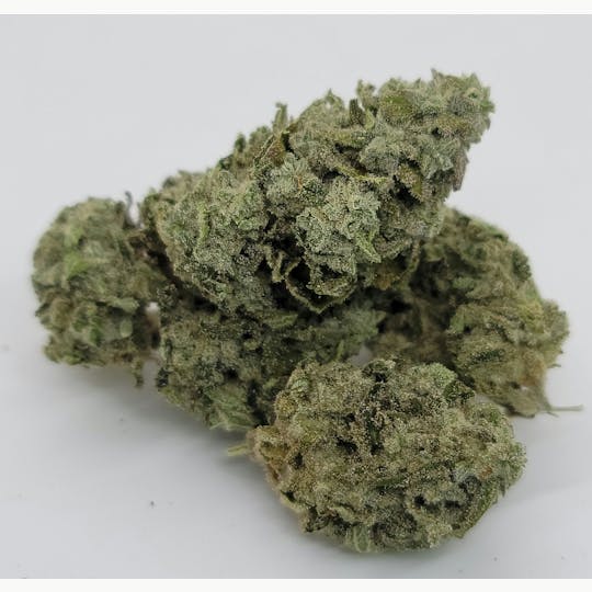 South Port Cannabis Company - TROPICANA BANANA - SOUTH PORT CANNABIS - 1