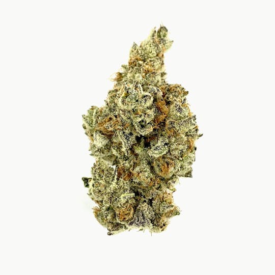 Indico - Garlic Breath - 1