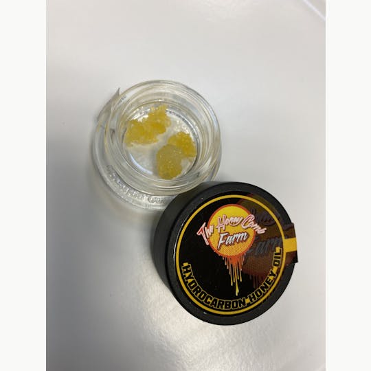 Delightful Hights - False Teeth - 1