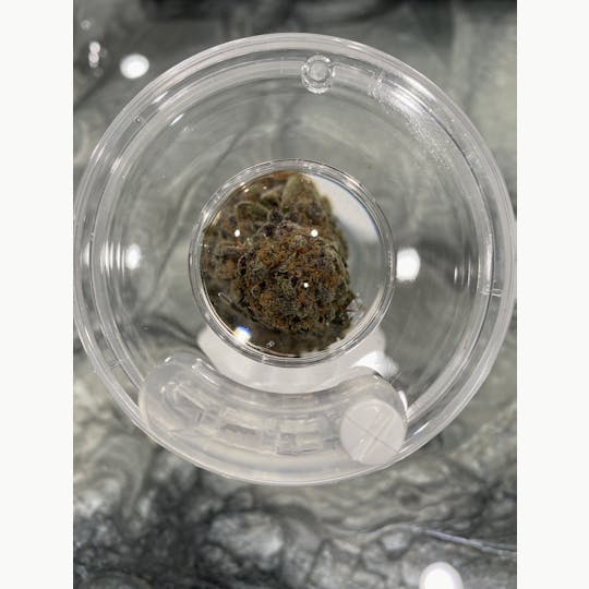 Delightful Hights - Blueberry Cookies - 1