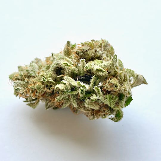 Mainely Dope - White Diesel - 1