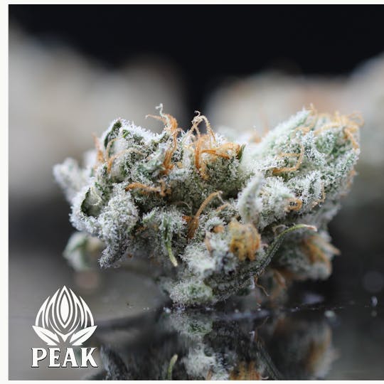 Peak Maine Cannabis - Economy - Platinum Cake - Peak Maine - 1
