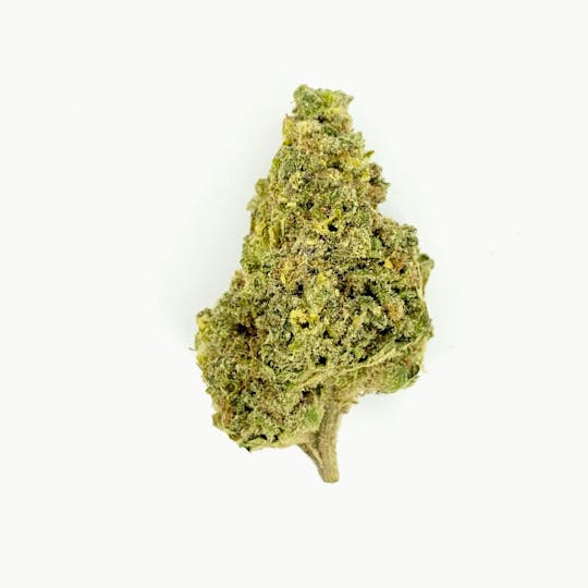 Indico - Carole Baskin Kush - 1