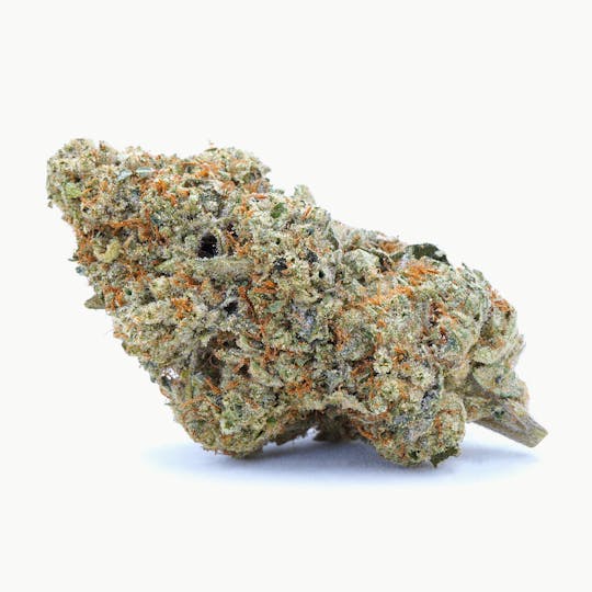 High Tide Organics - SFV OG | Indoor 3.5g - 1