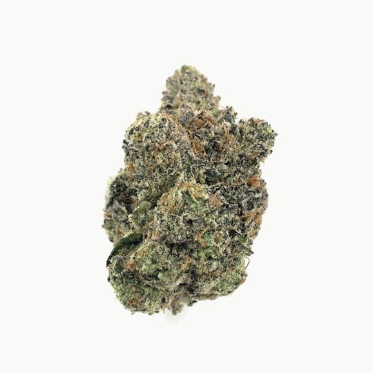 Indico - Purple Gelato - 1