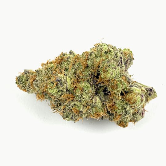 Ascension Farm - Tropaya - 1