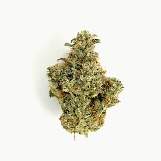 Ascension Farm - Girl Scout Glue - 1