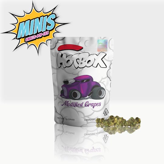 HOTBOX™ - HOTBOX | Modified Grapes Indica Minis (7g or 1/4 oz) Indoor Flower - 1