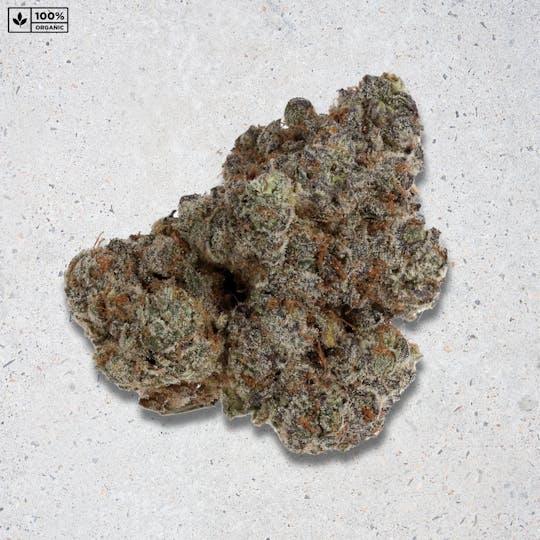 PARADISE SMOKES - Paradise Flower - Frozen Lemonz (3.5g) - 1