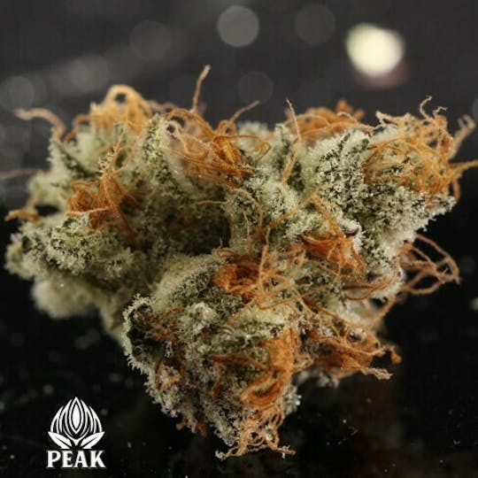 Peak Maine Cannabis - Crescendo - Peak Maine - 1