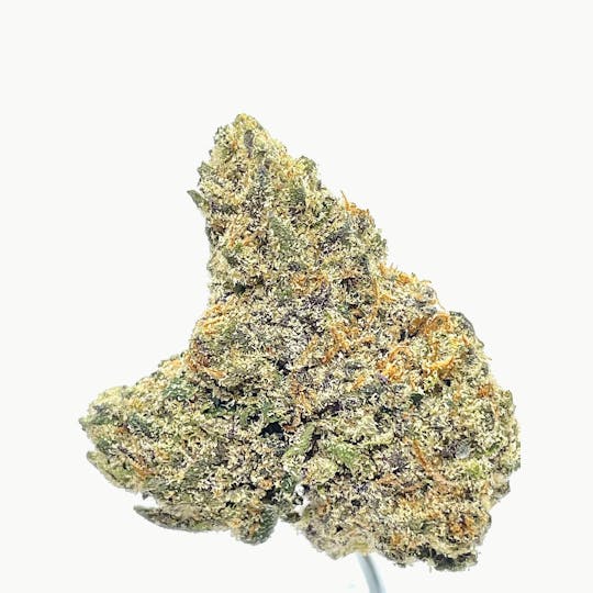 Wicked Gardens - Gelato - 1