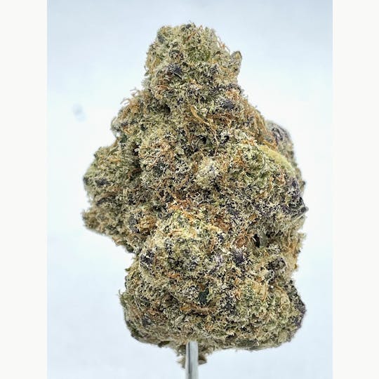 Wicked Gardens - Do Si Dos - 1