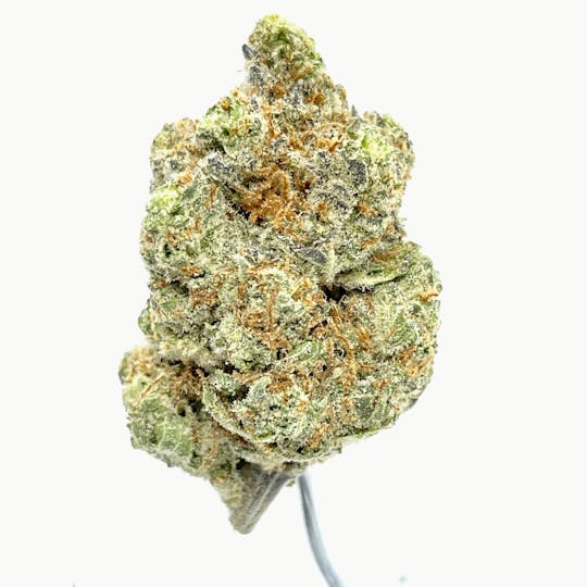 Wicked Gardens - Iced Lemonade - 1