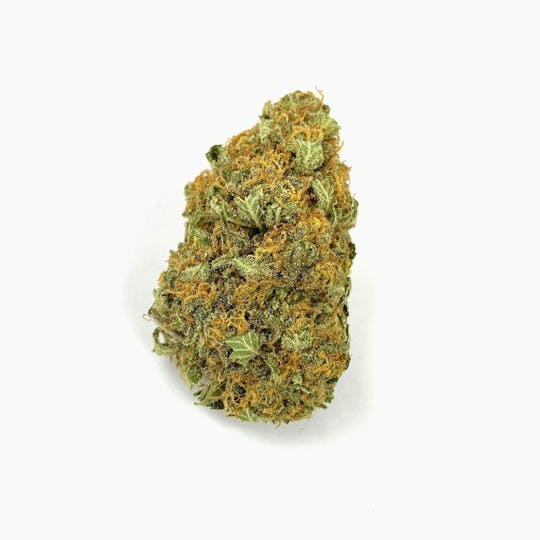 Indico - Lemon Diesel X Blue Heron - 1