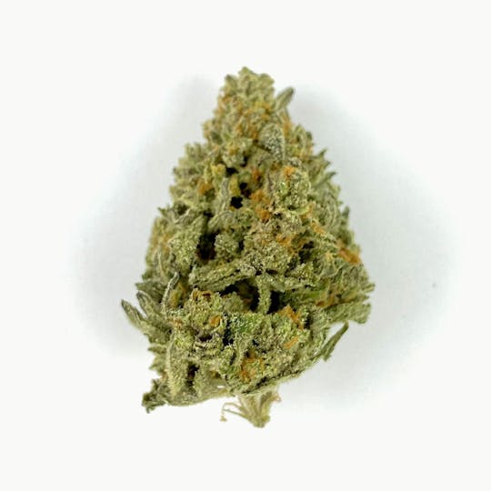 Indico - GG4 - WeedHouse Maine - 1