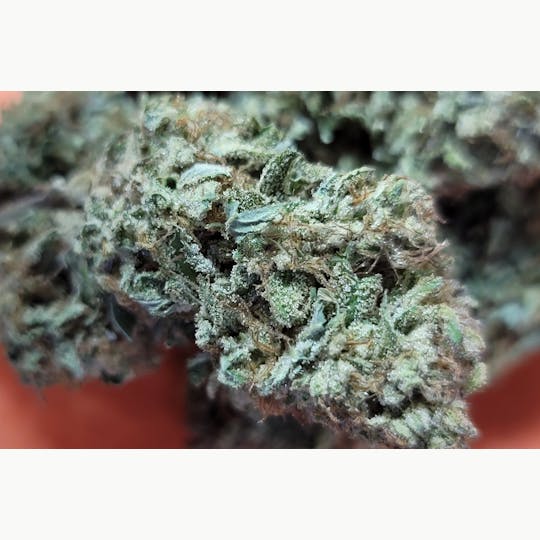 Daedalus Craft Cannabis - Mimosa - 1