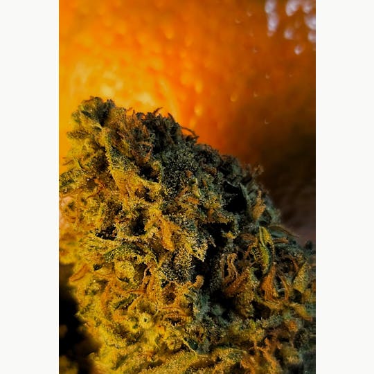 Daedalus Craft Cannabis - Tangie X Chem - 1